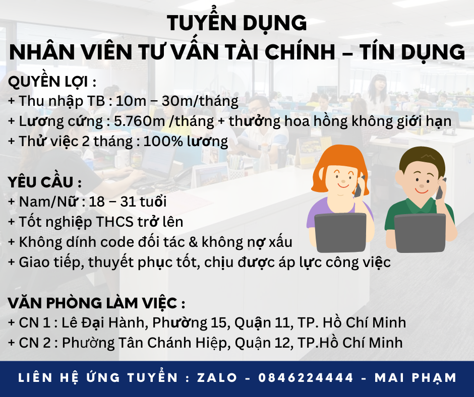 lĩnh vực hoạt động